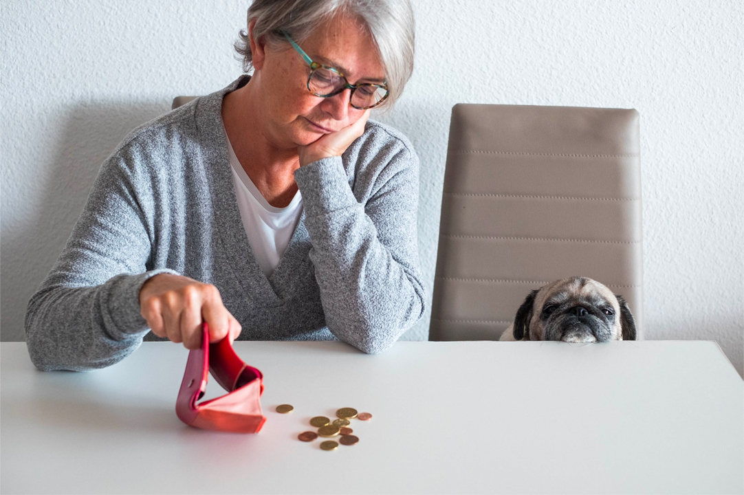Donna anziana con pochi soldi sul tavolo con un cane affianco